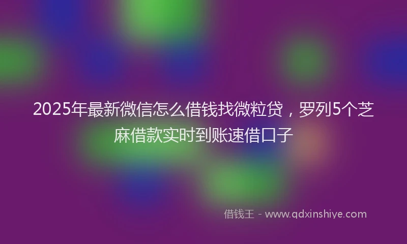 2025年最新微信怎么借钱找微粒贷，罗列5个芝麻借款实时到账速借口子