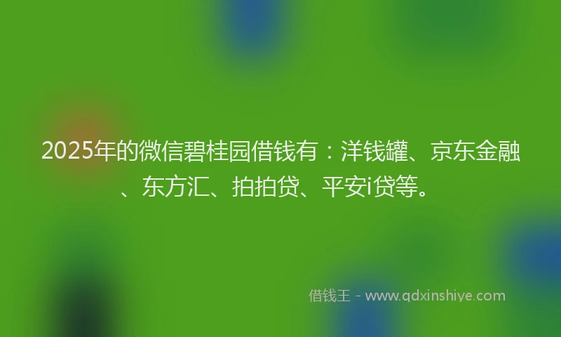 2025年的微信碧桂园借钱有：洋钱罐、京东金融、东方汇、拍拍贷、平安i贷等。