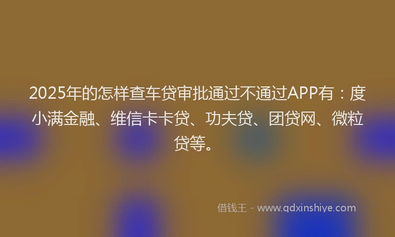 2025年的怎样查车贷审批通过不通过APP有：度小满金融、维信卡卡贷、功夫贷、团贷网、微粒贷等。