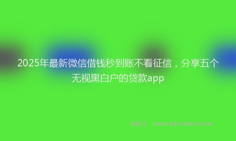 2025年最新微信借钱秒到账不看征信，分享五个无视黑白户的贷款app