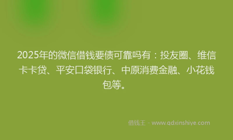 2025年的微信借钱要债可靠吗有：投友圈、维信卡卡贷、平安口袋银行、中原消费金融、小花钱包等。