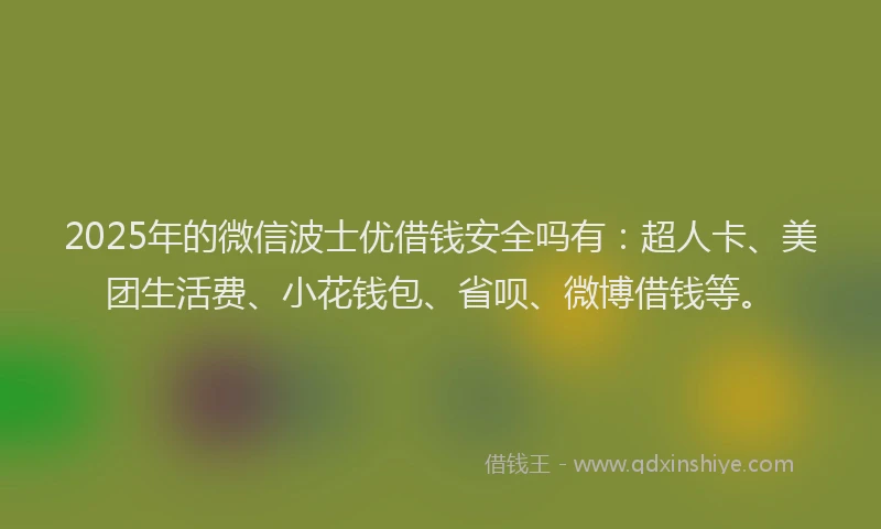 2025年的微信波士优借钱安全吗有：超人卡、美团生活费、小花钱包、省呗、微博借钱等。