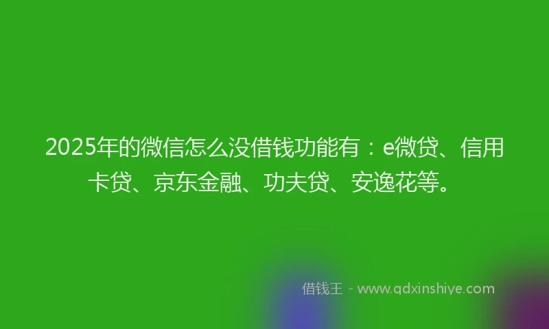 2025年的微信怎么没借钱功能有：e微贷、信用卡贷、京东金融、功夫贷、安逸花等。