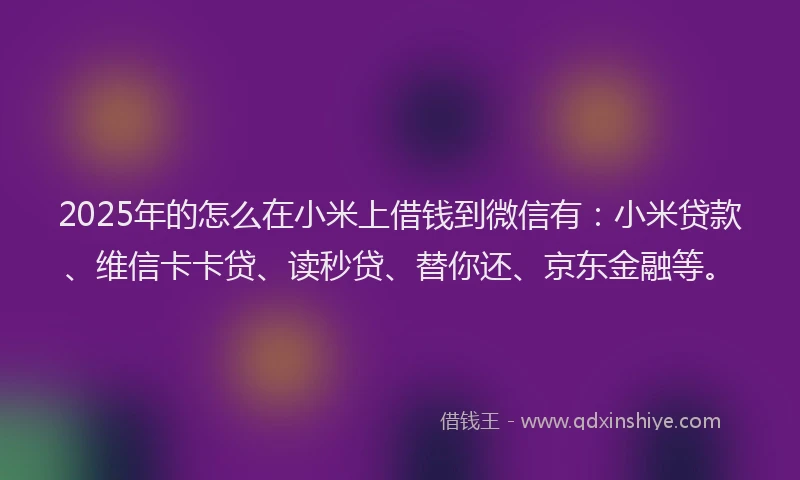 2025年的怎么在小米上借钱到微信有：小米贷款、维信卡卡贷、读秒贷、替你还、京东金融等。