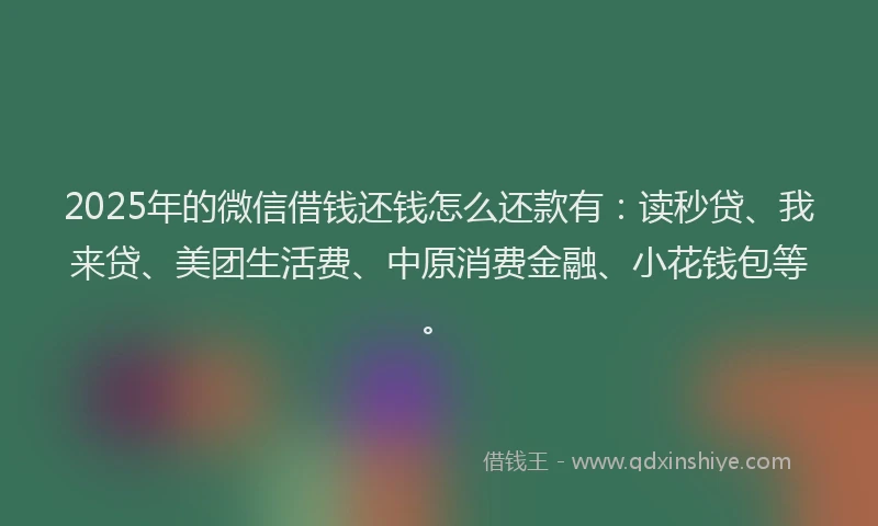 2025年的微信借钱还钱怎么还款有：读秒贷、我来贷、美团生活费、中原消费金融、小花钱包等。