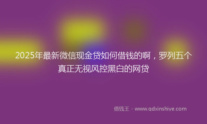 2025年最新微信现金贷如何借钱的啊，罗列五个真正无视风控黑白的网贷