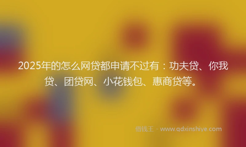 2025年的怎么网贷都申请不过有：功夫贷、你我贷、团贷网、小花钱包、惠商贷等。