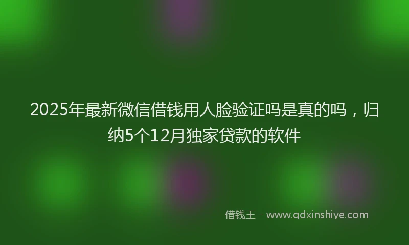2025年最新微信借钱用人脸验证吗是真的吗，归纳5个12月独家贷款的软件