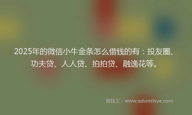 2025年的微信小牛金条怎么借钱的有：投友圈、功夫贷、人人贷、拍拍贷、融逸花等。