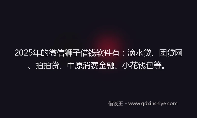 2025年的微信狮子借钱软件有：滴水贷、团贷网、拍拍贷、中原消费金融、小花钱包等。