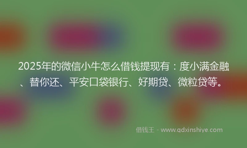 2025年的微信小牛怎么借钱提现有：度小满金融、替你还、平安口袋银行、好期贷、微粒贷等。