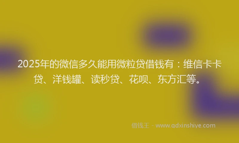 2025年的微信多久能用微粒贷借钱有：维信卡卡贷、洋钱罐、读秒贷、花呗、东方汇等。