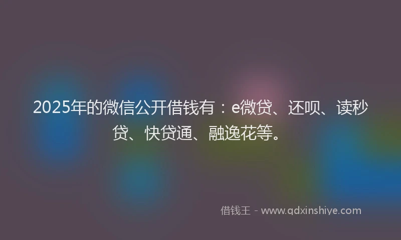 2025年的微信公开借钱有：e微贷、还呗、读秒贷、快贷通、融逸花等。