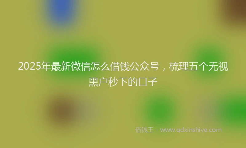 2025年最新微信怎么借钱公众号，梳理五个无视黑户秒下的口子