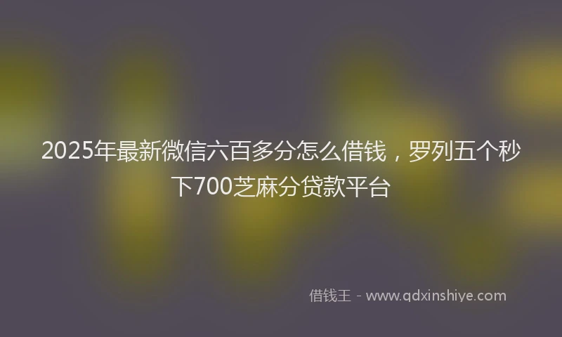 2025年最新微信六百多分怎么借钱，罗列五个秒下700芝麻分贷款平台
