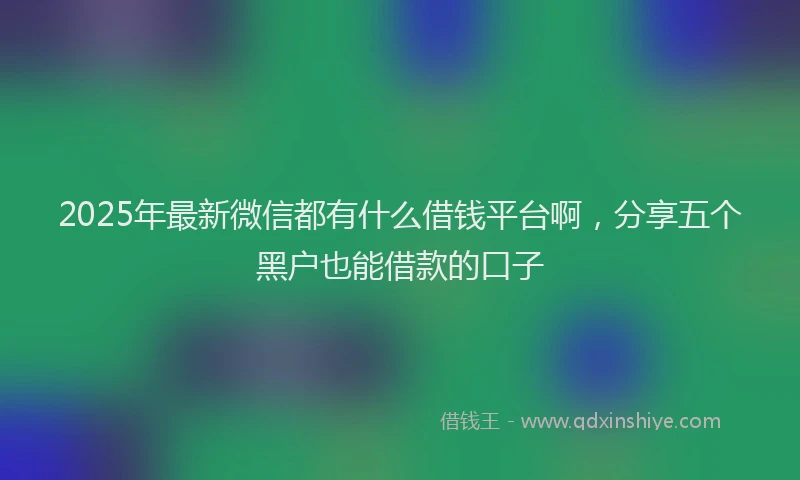 2025年最新微信都有什么借钱平台啊，分享五个黑户也能借款的口子