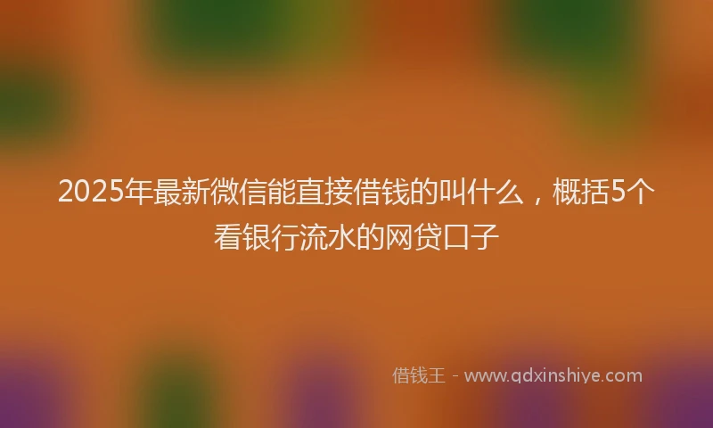 2025年最新微信能直接借钱的叫什么，概括5个看银行流水的网贷口子