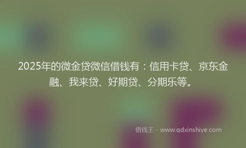 2025年的微金贷微信借钱有：信用卡贷、京东金融、我来贷、好期贷、分期乐等。