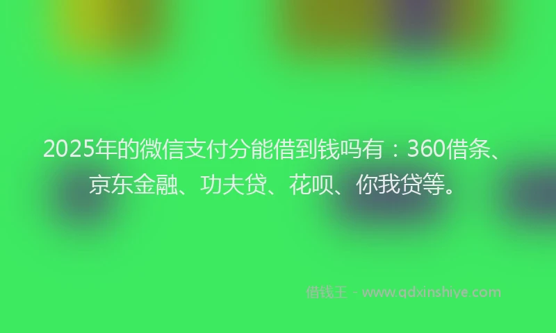 2025年的微信支付分能借到钱吗有：360借条、京东金融、功夫贷、花呗、你我贷等。