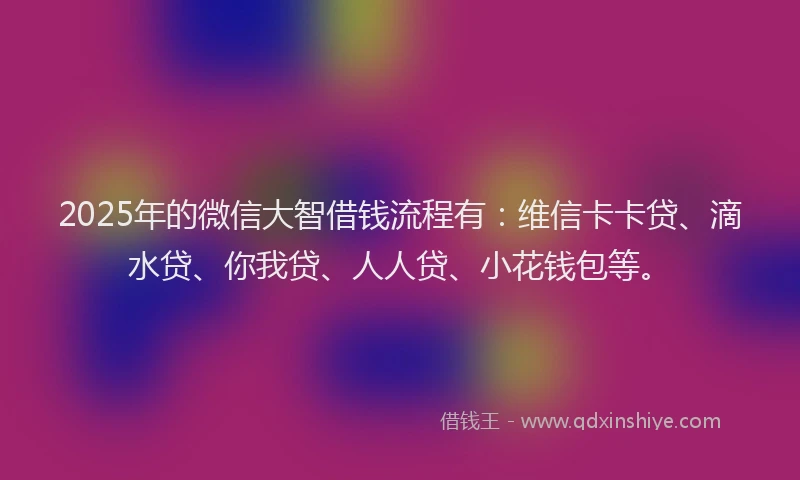 2025年的微信大智借钱流程有：维信卡卡贷、滴水贷、你我贷、人人贷、小花钱包等。