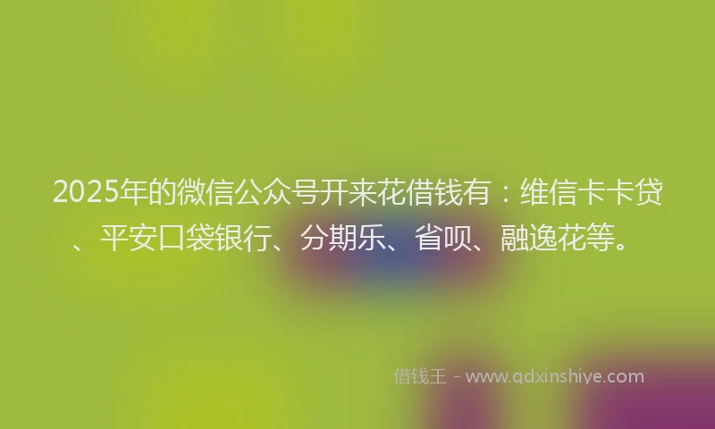 2025年的微信公众号开来花借钱有：维信卡卡贷、平安口袋银行、分期乐、省呗、融逸花等。