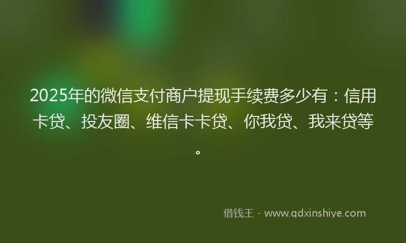 2025年的微信支付商户提现手续费多少有：信用卡贷、投友圈、维信卡卡贷、你我贷、我来贷等。