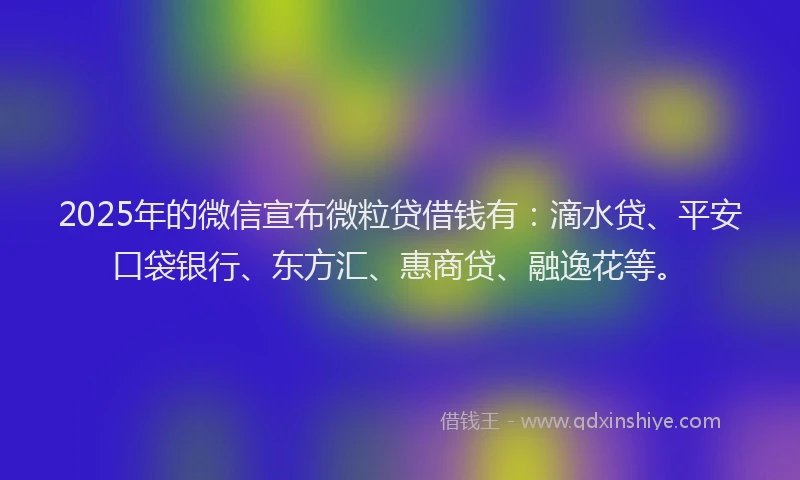 2025年的微信宣布微粒贷借钱有：滴水贷、平安口袋银行、东方汇、惠商贷、融逸花等。