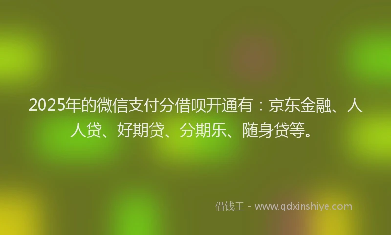 2025年的微信支付分借呗开通有：京东金融、人人贷、好期贷、分期乐、随身贷等。