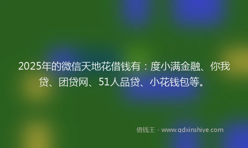 2025年的微信天地花借钱有：度小满金融、你我贷、团贷网、51人品贷、小花钱包等。