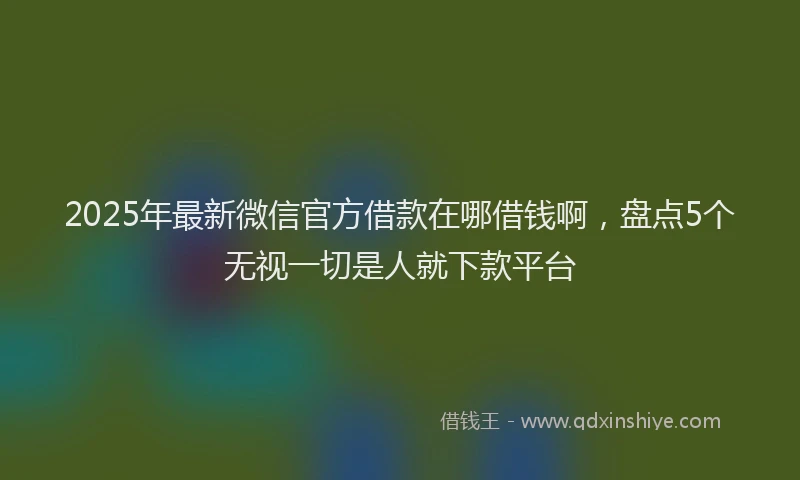 2025年最新微信官方借款在哪借钱啊，盘点5个无视一切是人就下款平台