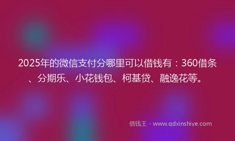 2025年的微信支付分哪里可以借钱有：360借条、分期乐、小花钱包、柯基贷、融逸花等。