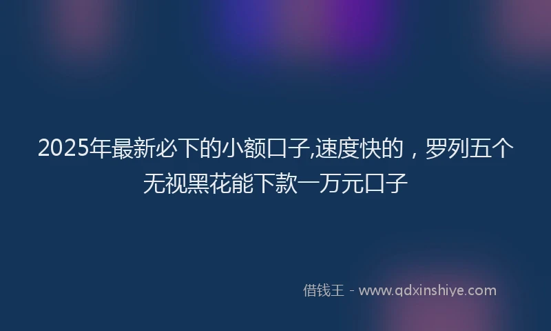2025年最新必下的小额口子,速度快的，罗列五个无视黑花能下款一万元口子