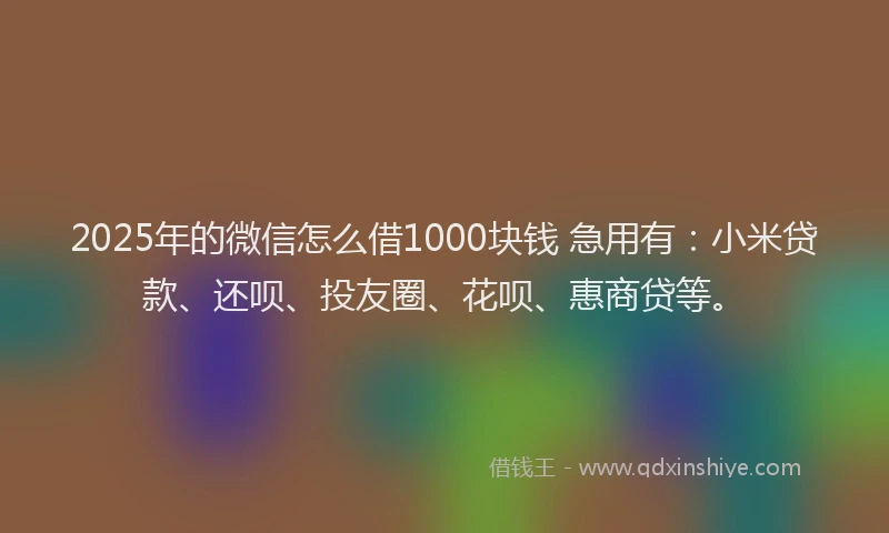 2025年的微信怎么借1000块钱 急用有：小米贷款、还呗、投友圈、花呗、惠商贷等。
