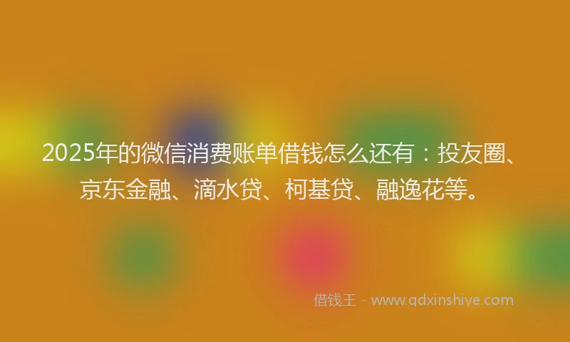 2025年的微信消费账单借钱怎么还有：投友圈、京东金融、滴水贷、柯基贷、融逸花等。