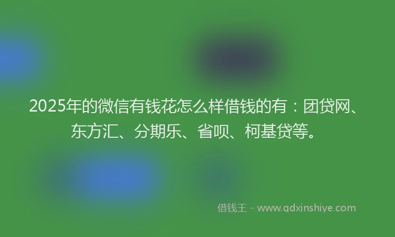 2025年的微信有钱花怎么样借钱的有：团贷网、东方汇、分期乐、省呗、柯基贷等。