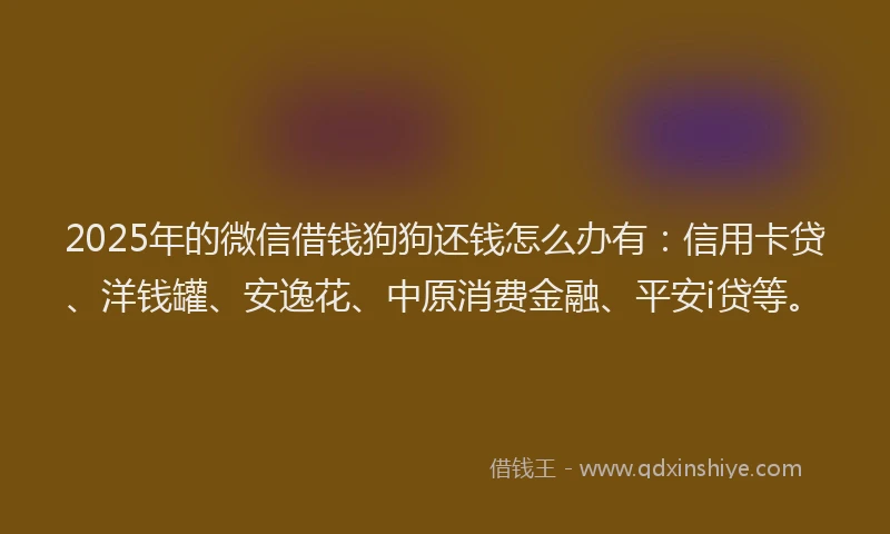 2025年的微信借钱狗狗还钱怎么办有：信用卡贷、洋钱罐、安逸花、中原消费金融、平安i贷等。