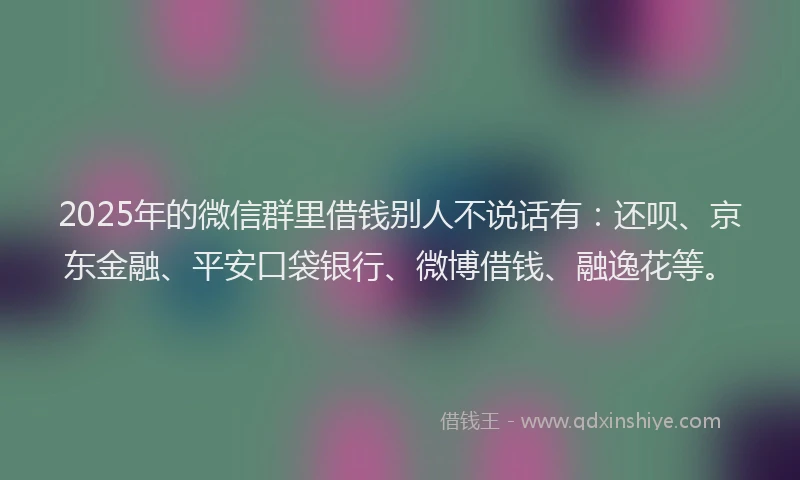2025年的微信群里借钱别人不说话有：还呗、京东金融、平安口袋银行、微博借钱、融逸花等。