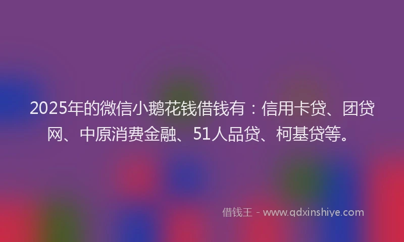 2025年的微信小鹅花钱借钱有：信用卡贷、团贷网、中原消费金融、51人品贷、柯基贷等。
