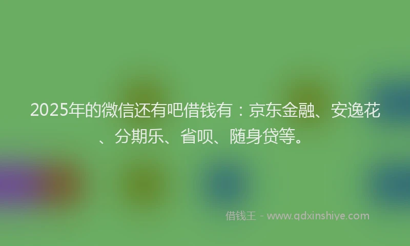 2025年的微信还有吧借钱有：京东金融、安逸花、分期乐、省呗、随身贷等。