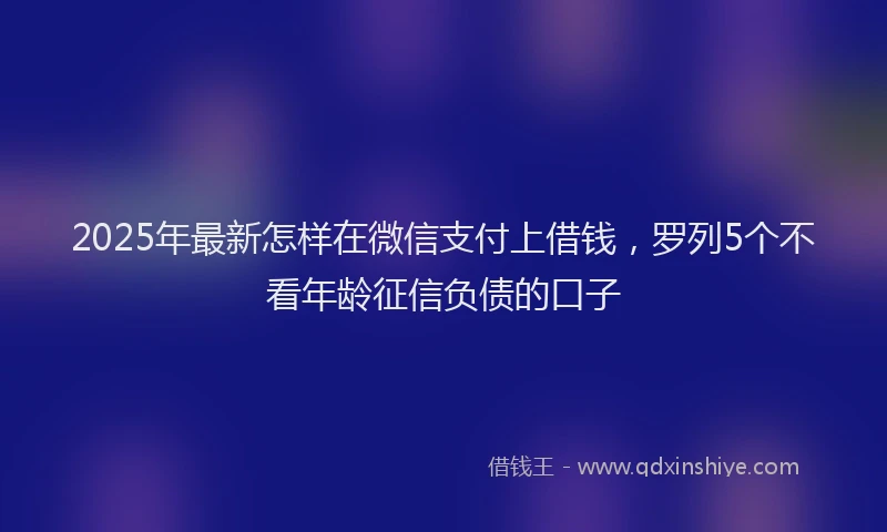 2025年最新怎样在微信支付上借钱，罗列5个不看年龄征信负债的口子