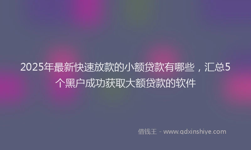 2025年最新快速放款的小额贷款有哪些，汇总5个黑户成功获取大额贷款的软件