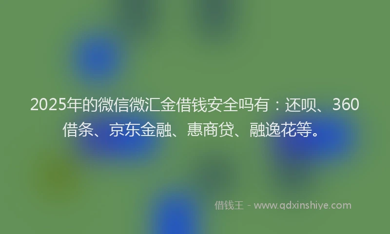 2025年的微信微汇金借钱安全吗有：还呗、360借条、京东金融、惠商贷、融逸花等。