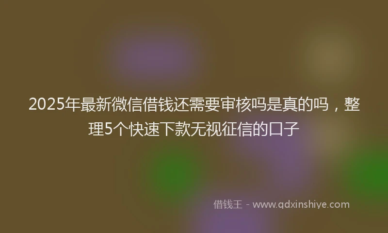 2025年最新微信借钱还需要审核吗是真的吗，整理5个快速下款无视征信的口子