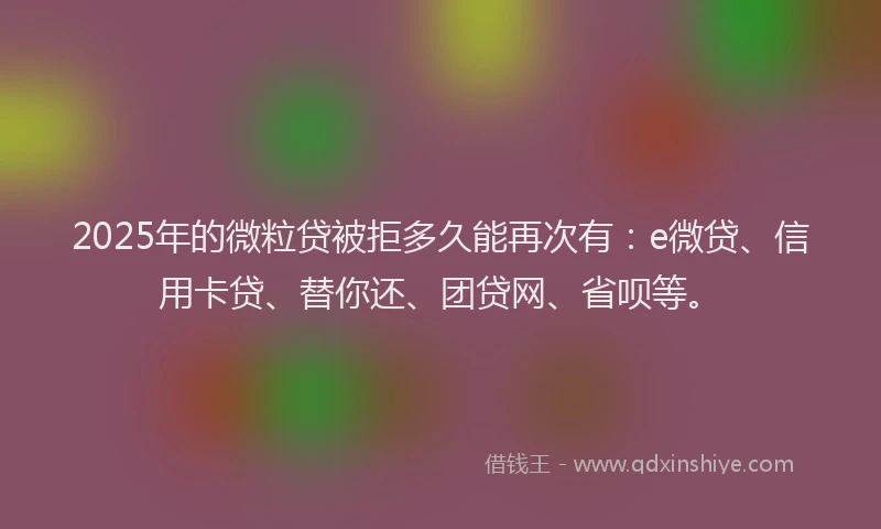 2025年的微粒贷被拒多久能再次有：e微贷、信用卡贷、替你还、团贷网、省呗等。