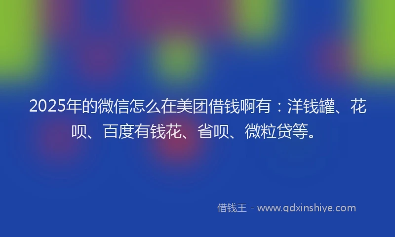 2025年的微信怎么在美团借钱啊有：洋钱罐、花呗、百度有钱花、省呗、微粒贷等。