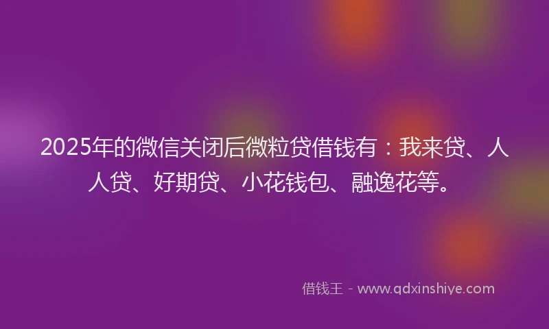 2025年的微信关闭后微粒贷借钱有：我来贷、人人贷、好期贷、小花钱包、融逸花等。