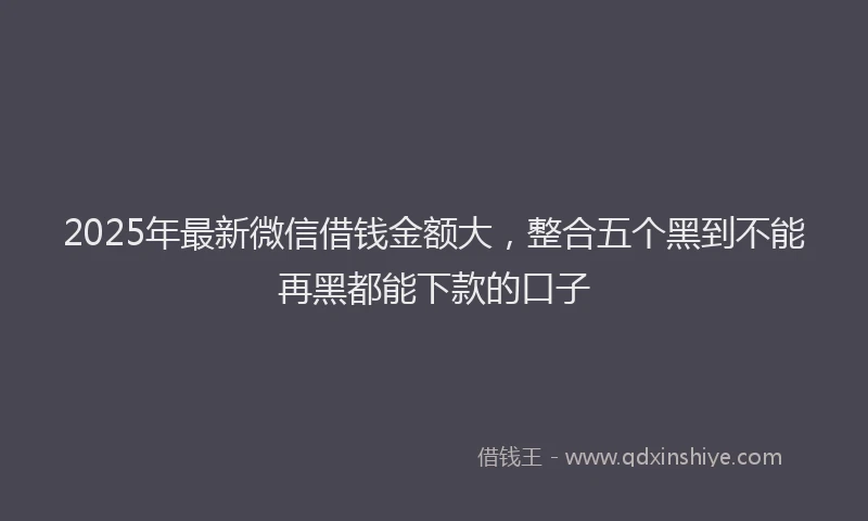 2025年最新微信借钱金额大，整合五个黑到不能再黑都能下款的口子