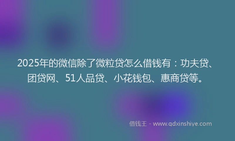 2025年的微信除了微粒贷怎么借钱有：功夫贷、团贷网、51人品贷、小花钱包、惠商贷等。