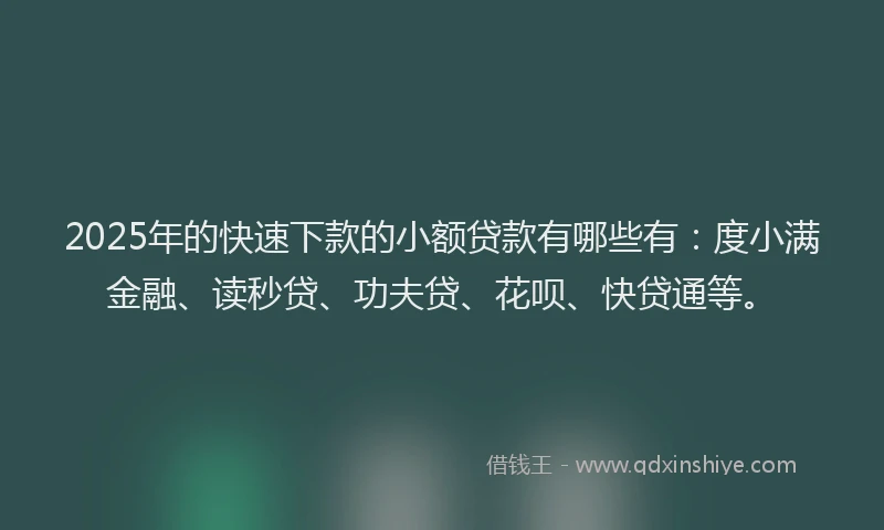 2025年的快速下款的小额贷款有哪些有：度小满金融、读秒贷、功夫贷、花呗、快贷通等。
