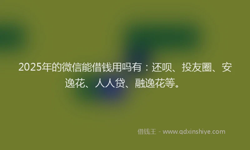 2025年的微信能借钱用吗有：还呗、投友圈、安逸花、人人贷、融逸花等。